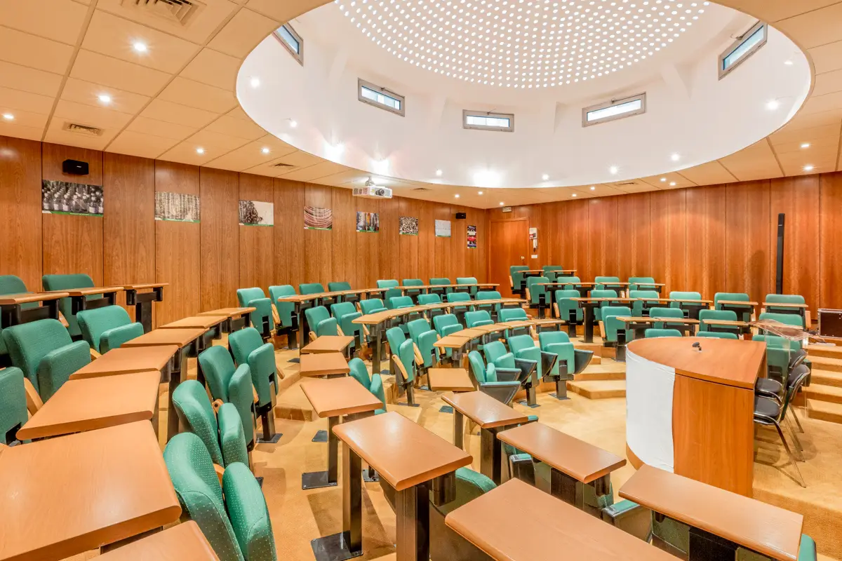 Amphi Pereire, photo 3