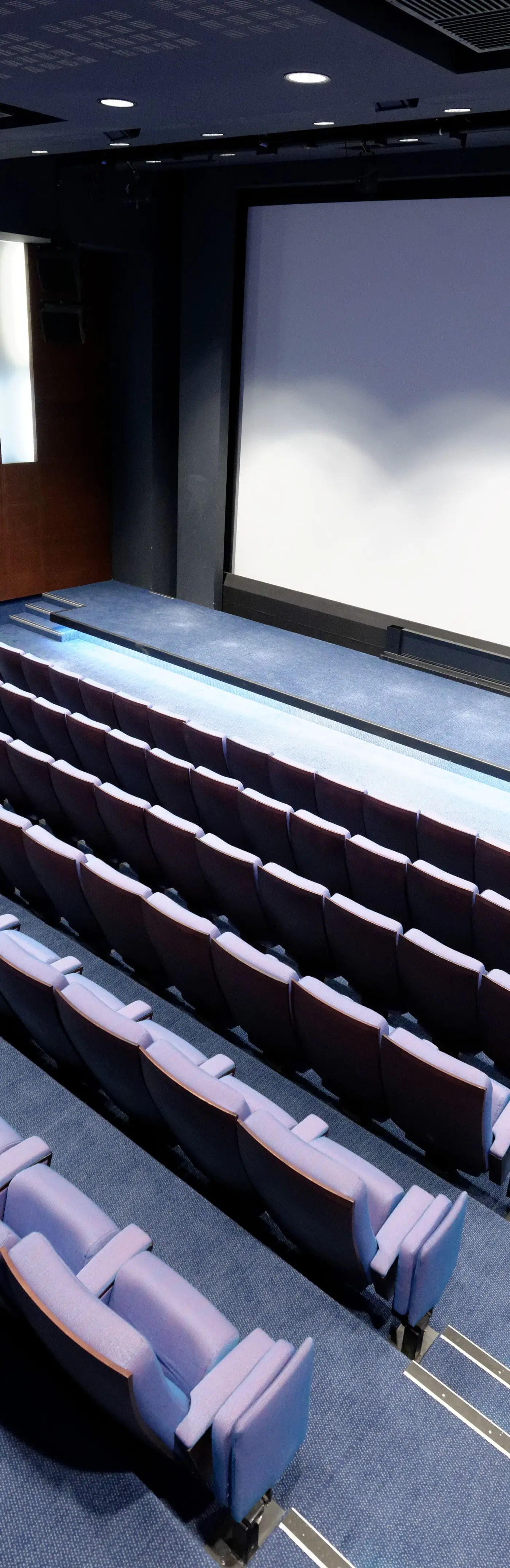 Cinémathèque Française, photo 2