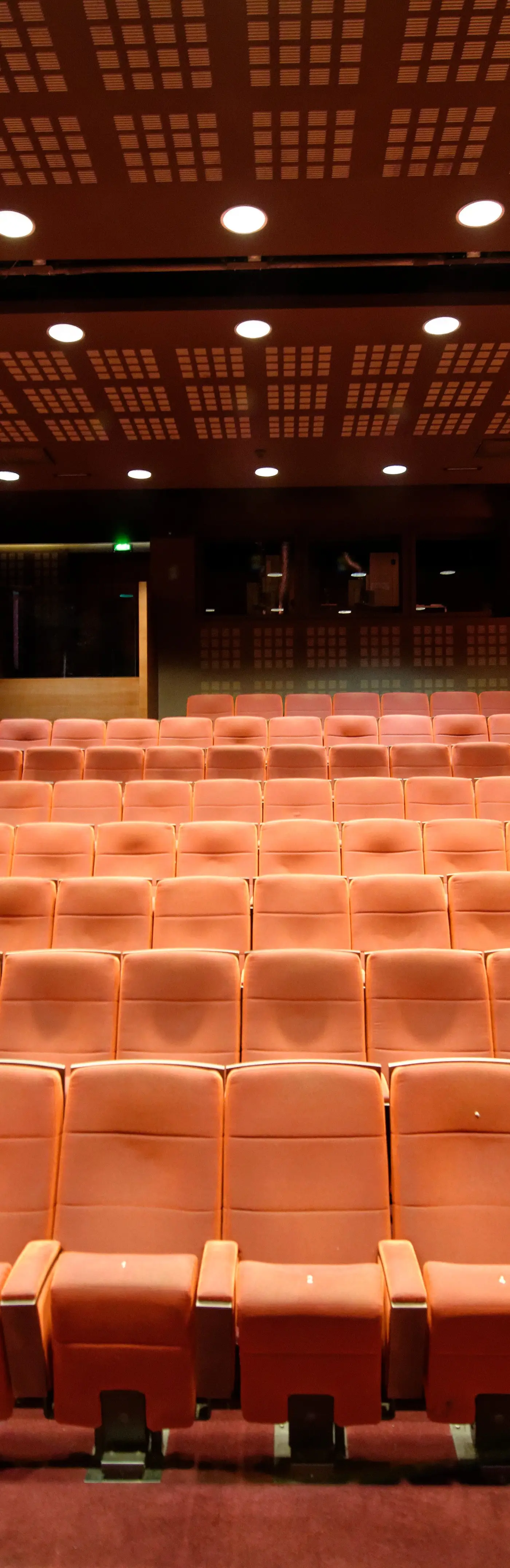 Cinémathèque Française, photo 3