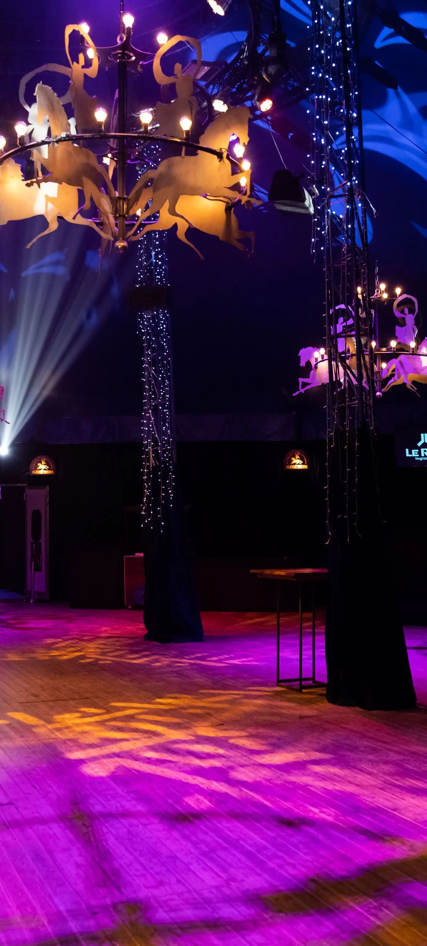 Les Folies Gruss, photo 5