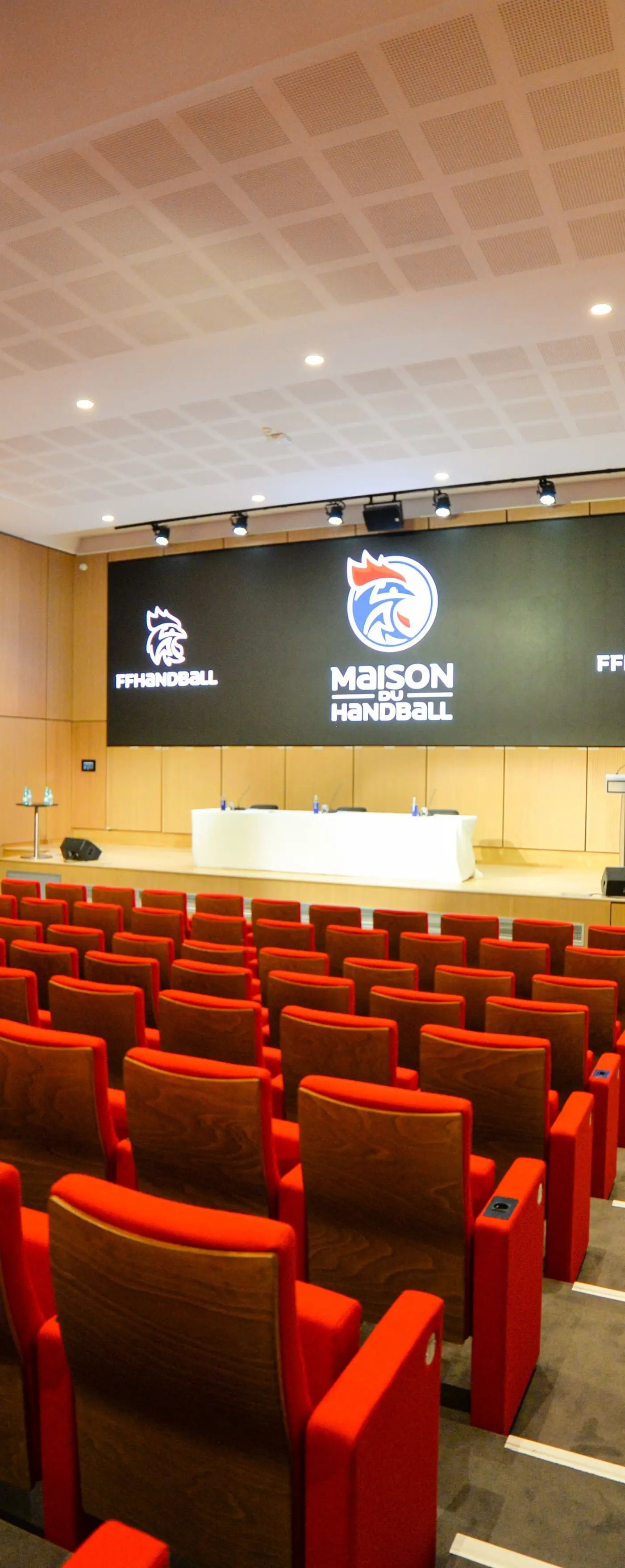 Maison du Handball, photo 3