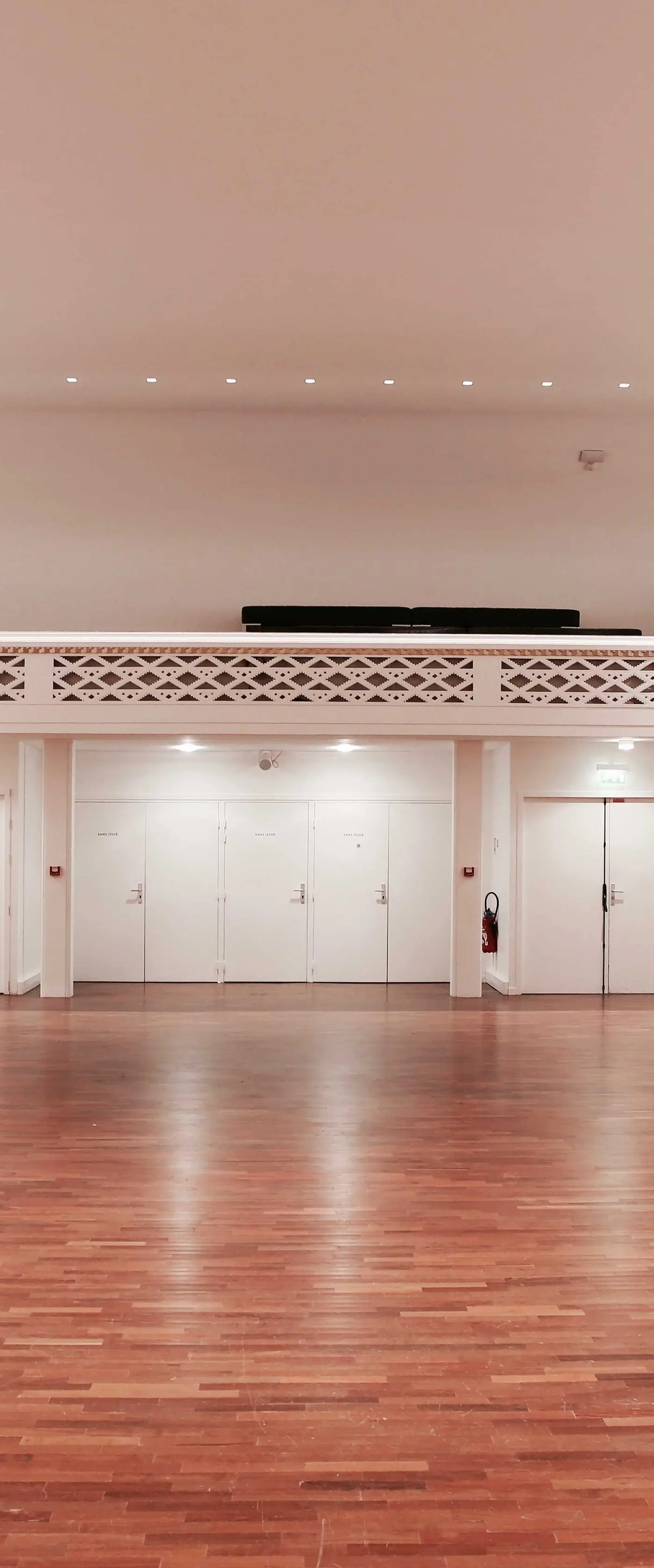 Salle Pleyel, photo 5